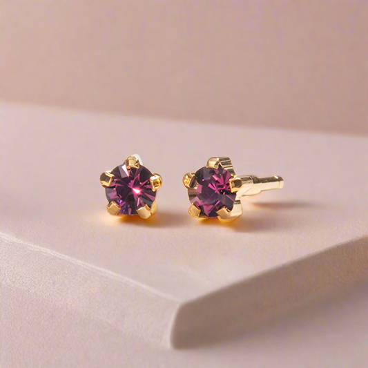 February – Amethyst Claw Set